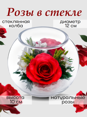Розы и орхидеи в стекле BSM2 (12 см) Натуральные стабилизированные цветы в вакууме