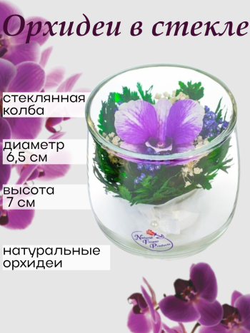 Орхидея в стекле SSO (7 см)