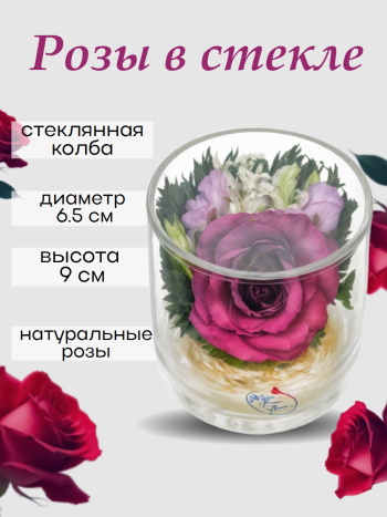 Роза в стекле SMRd (9 см) Натуральные стабилизированные цветы в вакууме