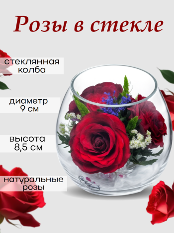 Цветы стабилизированные Розы в стекле BmiR (9 см) Натуральные стабилизированные цветы в вакууме