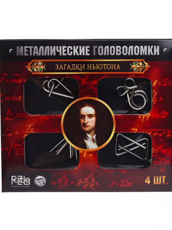 Набор головоломок для детей "Загадки Ньютона" (4 штуки)