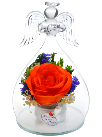 Роза в стекле OaSRo (13 см) Роза в стекле OaSRo (13 см)