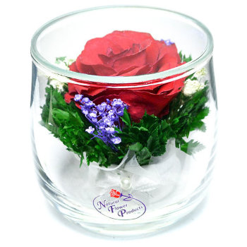 Роза в стекле SSR (7 см)