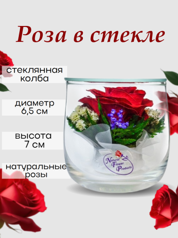 Роза в стекле SSR (7 см) Натуральные стабилизированные цветы в вакууме