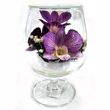 Орхидеи в стекле GSO (13 см)