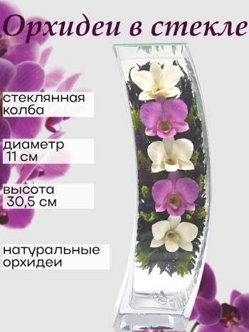 Орхидеи в стекле (30,5 см) Натуральные стабилизированные цветы в вакууме
