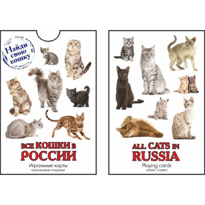 Магазин Купить Кошку Москва