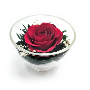 Роза в стекле CuSr1 (8,5 см)
