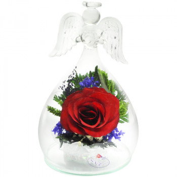 Роза в стекле OaSR2 (13 см)