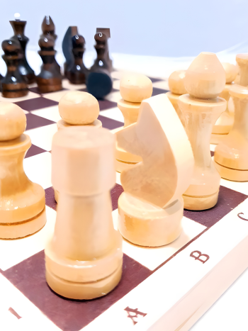 Шахматы складные деревянные "Простые" (29 х 14,5 х 4 см)