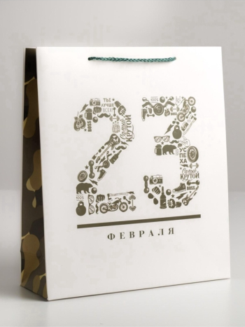 Подарочный пакет "23 февраля", ламинированная бумага, 26x30x9 см