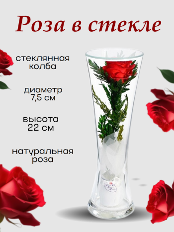 Роза в стекле CuHR (22 см) Натуральные стабилизированные цветы в вакууме
