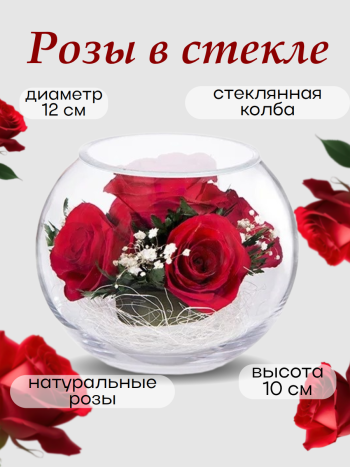 Розы в стекле BSR1 (10х12 см) Натуральные стабилизированные цветы в вакууме
