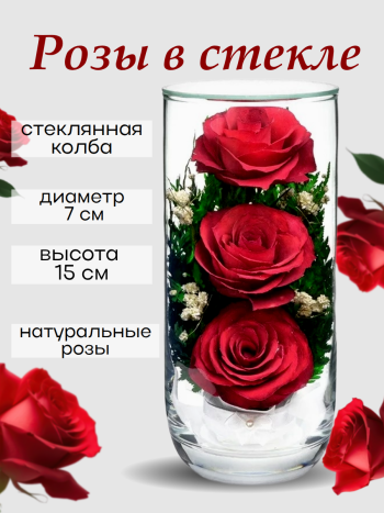 Розы в стекле CSR (15 см) Натуральные стабилизированные цветы в вакууме