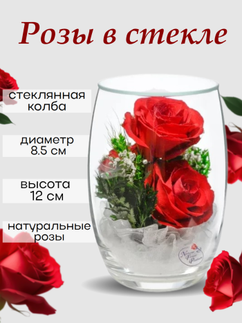 Розы в стекле RmiR (12 см) Натуральные стабилизированные цветы в вакууме