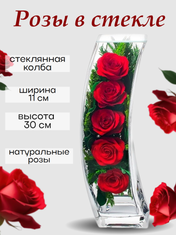 Розы в стекле SqCR (30 см) Натуральные стабилизированные цветы в вакууме
