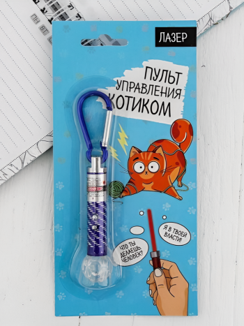 Лазерная указка "Пульт управления котиком" на карабине 