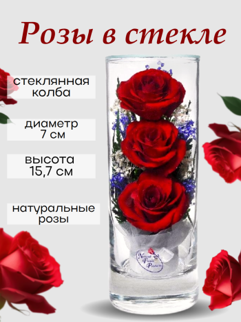 Розы в стекле SLR (15.7 см) Натуральные стабилизированные цветы в вакууме