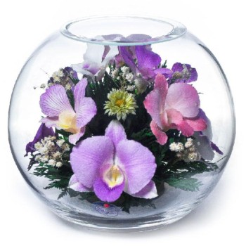 Композиция из орхидей в стекле (выс. 15,5 см, диам. 18,5 см)