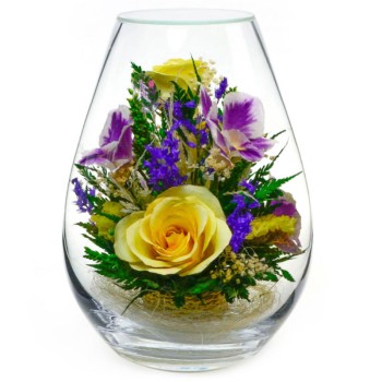Композиция из роз и орхидей в стекле (выс. 21 см)