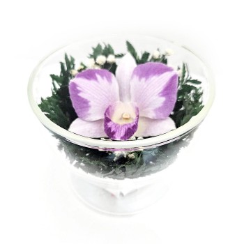 Орхидея в стекле CuSO3 (8 см)